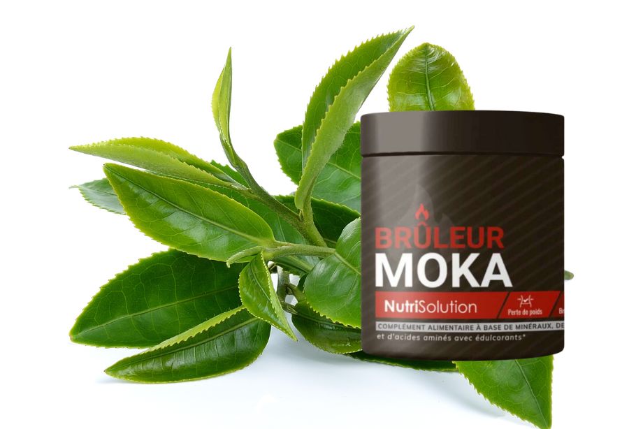 Analyse des composants de Brûleur Moka
